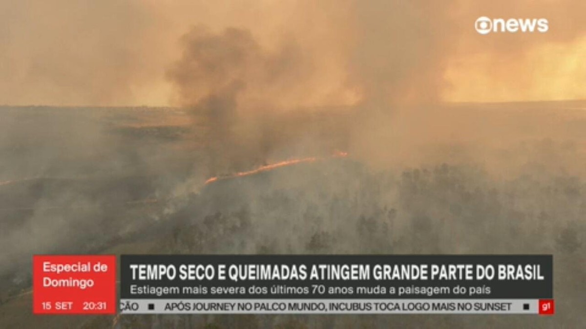 Quando chegar, pedido de verba extra para combater queimadas será liberado em 24 horas, diz Haddad