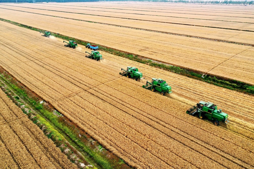 Reforma tributária pode elevar custos para o agronegócio