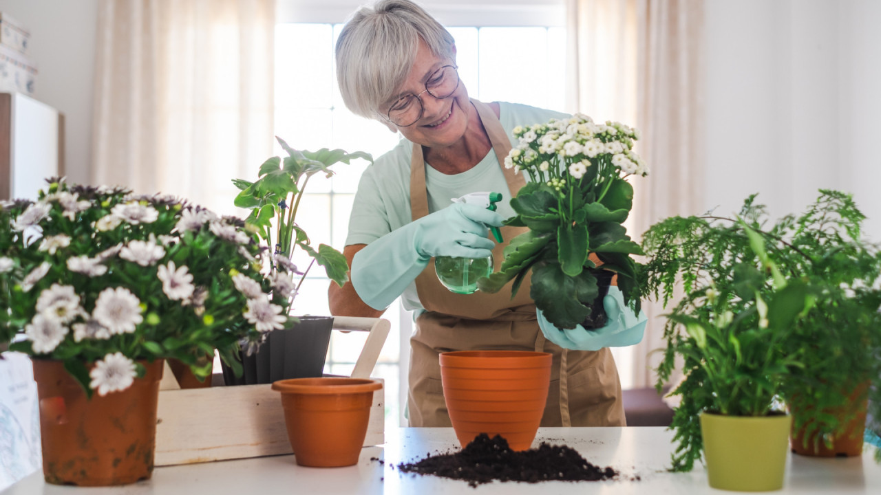 Saiba como manter suas plantas vivas quando estiver viajando