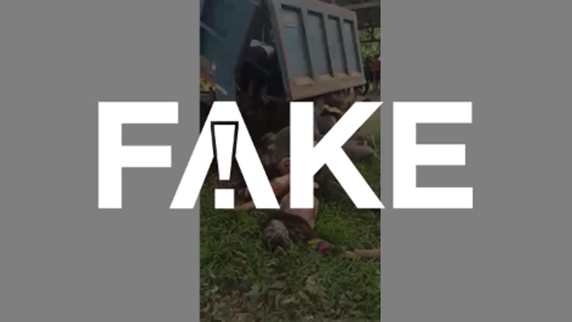 É #FAKE que vídeo de caminhão basculante descarregando cadáveres foi gravado na Venezuela