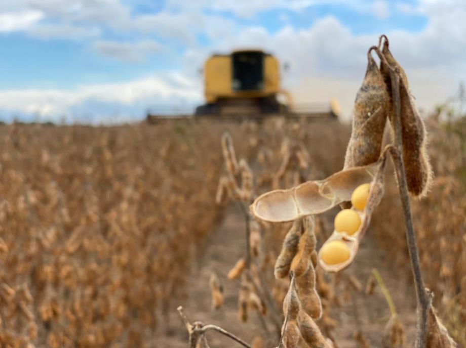 Região de Querência, Canarana e Água Boa se torna a segunda maior produtora de grãos de Mato Grosso