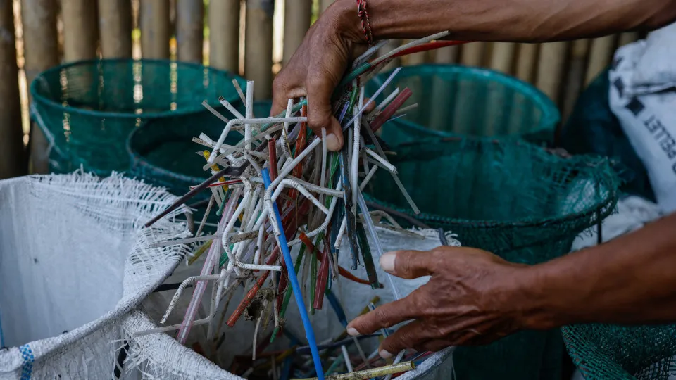 Os canudos de plástico são realmente tão ruins para o meio ambiente?