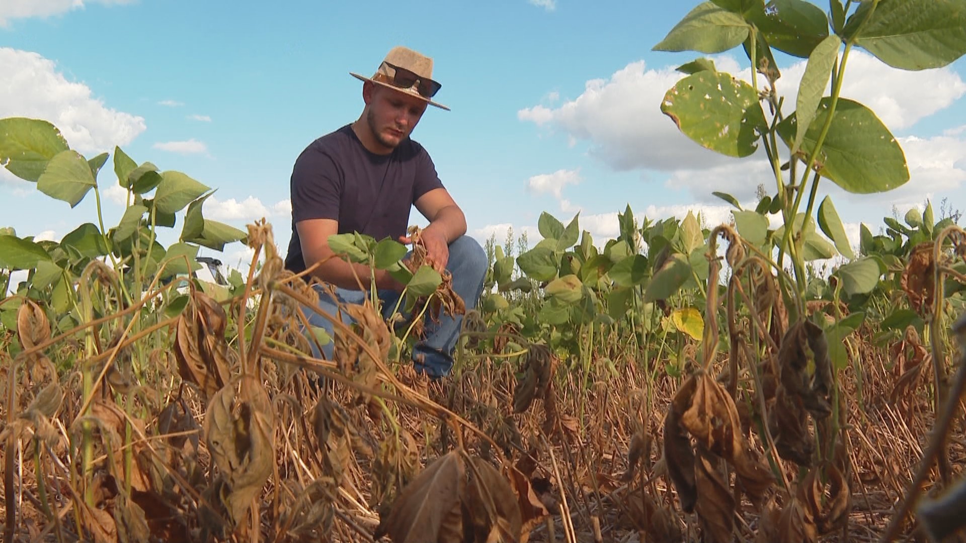 Estiagem provoca queda de 30% na produção de soja do RS, indica balanço da Emater